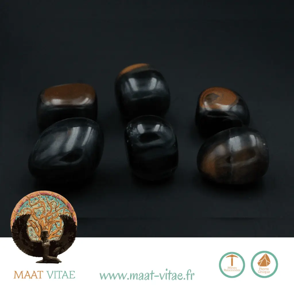 Oeil de Faucon - Maât Vitae
